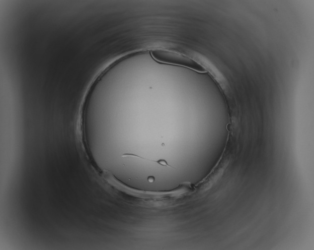 X0000101120948200807101540