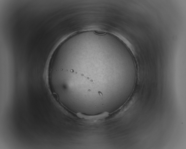 X0000101120949200807101540