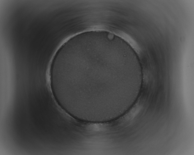 X0000101120950200807101540