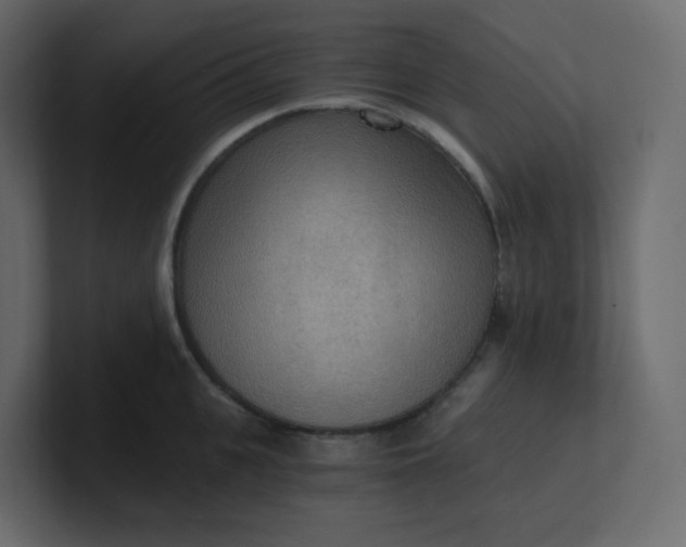 X0000101120951200807101540