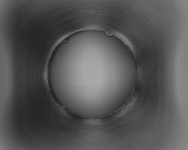 X0000101120952200807101540