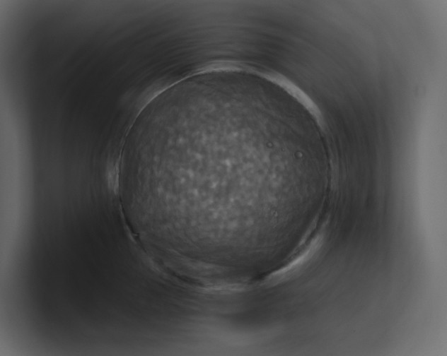 X0000101120953200807101540