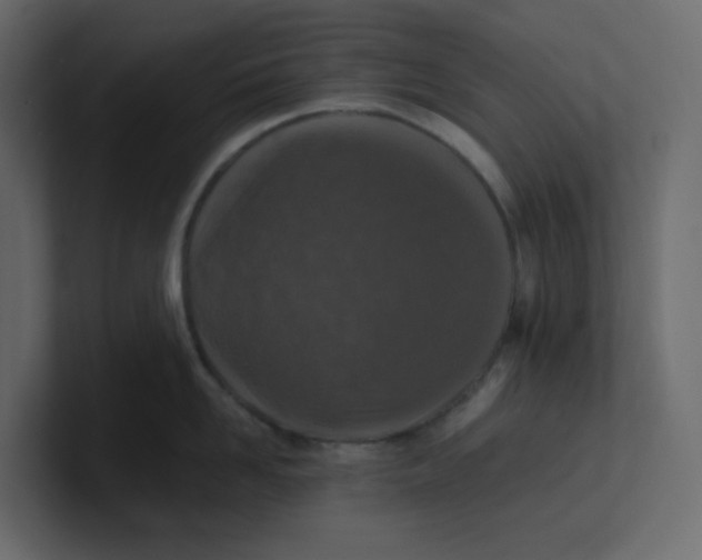 X0000101120958200807101540