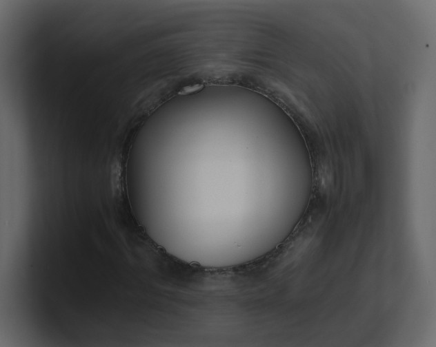 X0000101120964200807101539