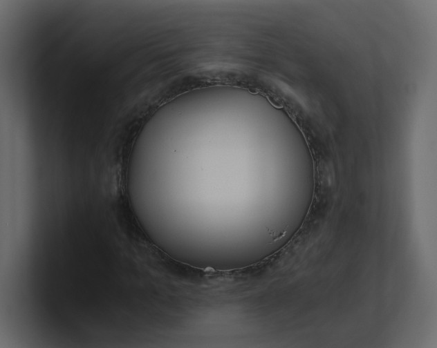 X0000101120965200807101539