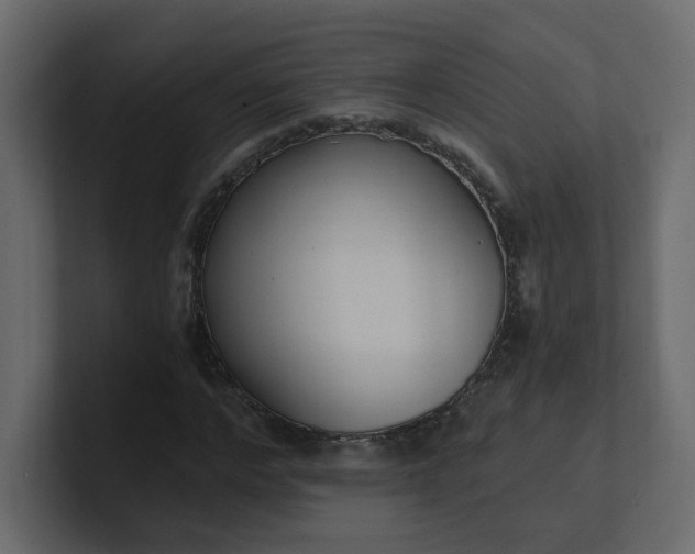 X0000101120968200807101539