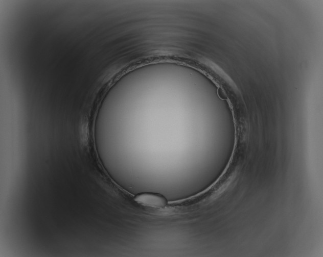 X0000101120969200807101539