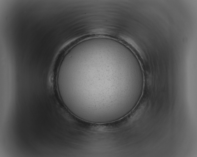 X0000101120971200807101539