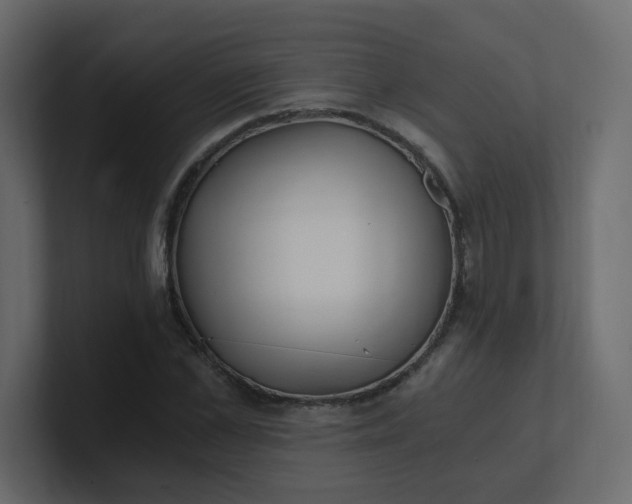 X0000101120973200807101539