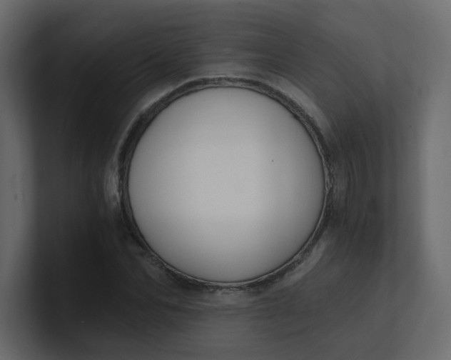 X0000101120974200807101539