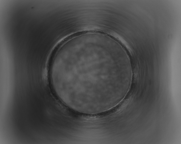 X0000101120975200807101539