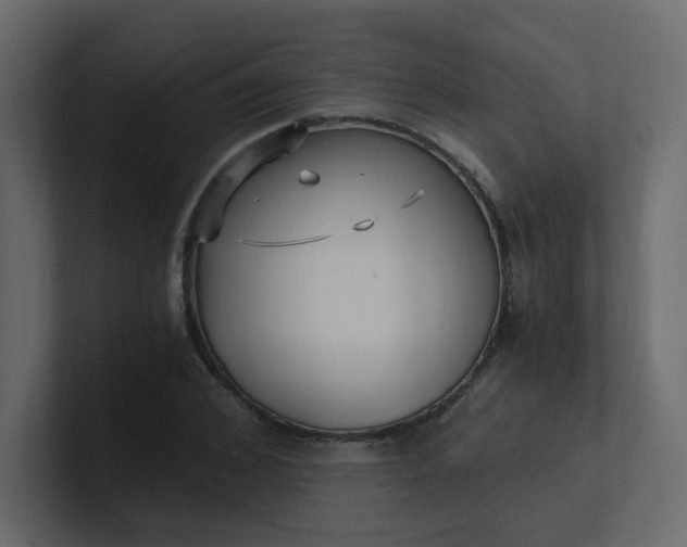 X0000101120976200807101539
