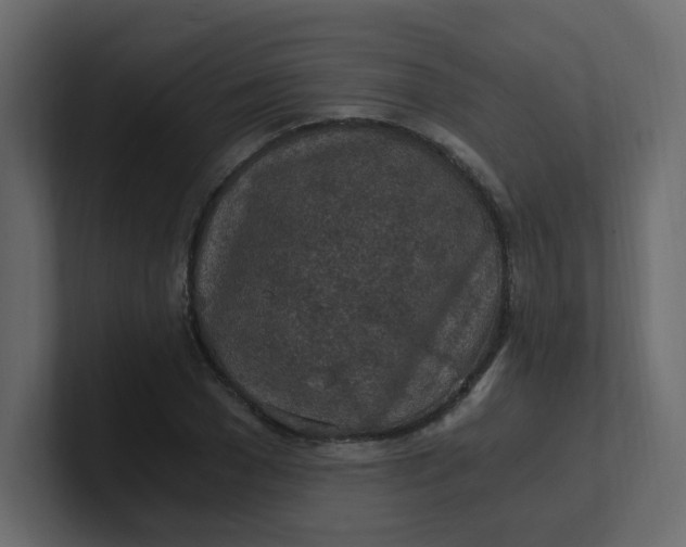 X0000101120977200807101539