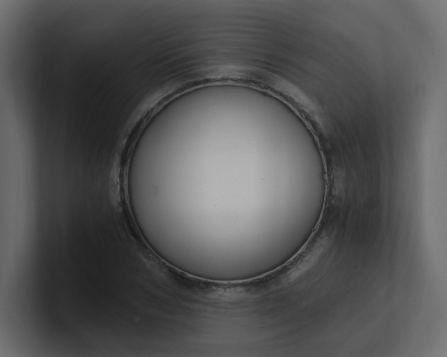X0000101120978200807101539