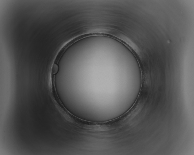 X0000101120980200807101539
