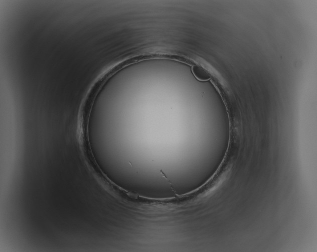 X0000101120981200807101539