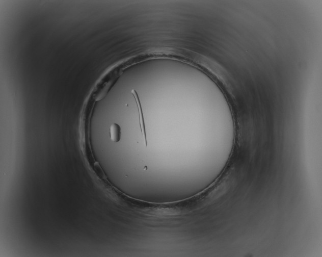 X0000101120984200807101539