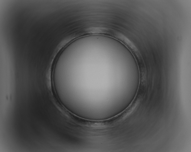 X0000101120986200807101539