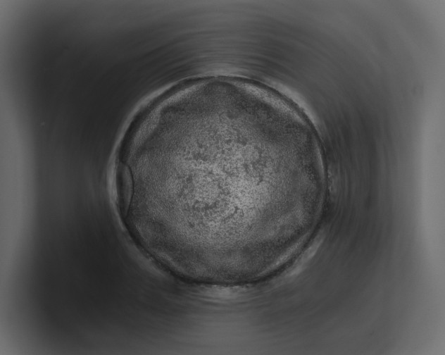 X0000101120987200807101539