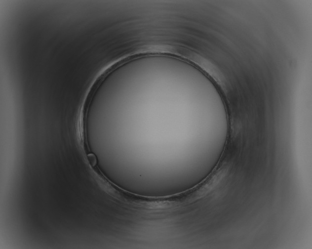 X0000101120988200807101539