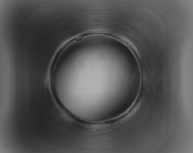 X0000101120989200807101539