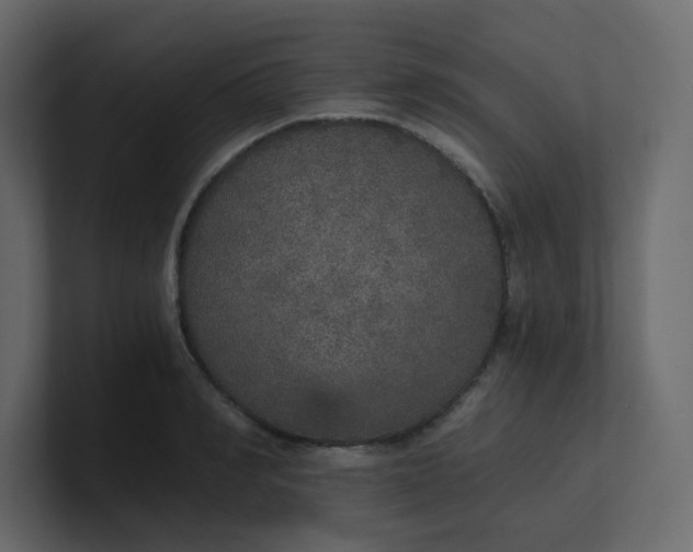 X0000101120990200807101539