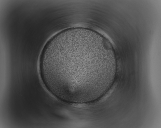 X0000101120991200807101539