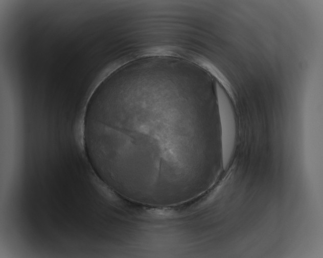 X0000101120994200807101539