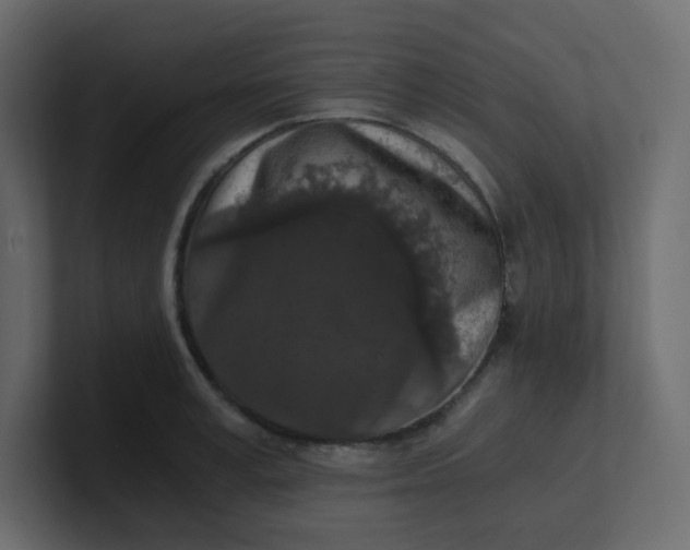 X0000101120995200807101539