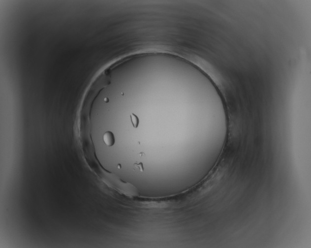 X0000101120996200807101539