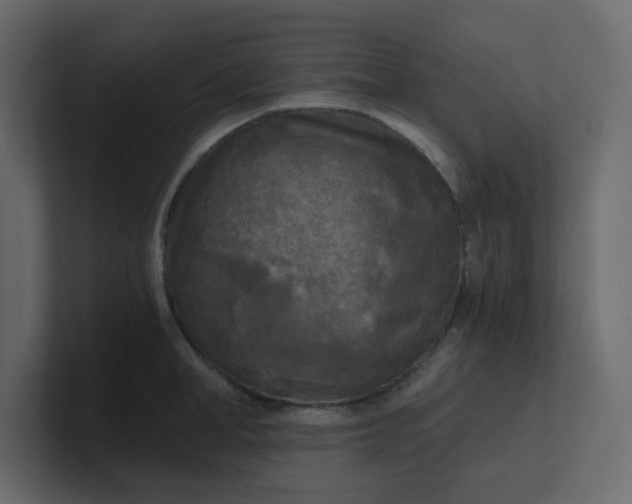 X0000101120998200807101539