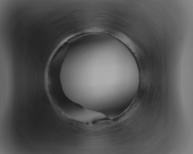 X0000101121000200807101539