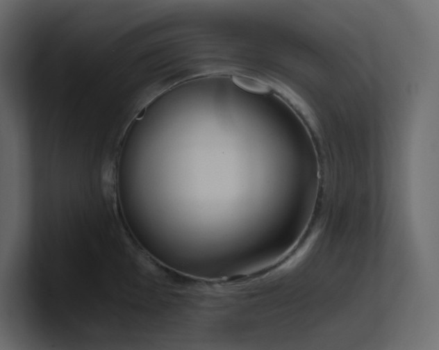 X0000101121001200807101539