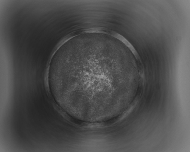 X0000101121002200807101539