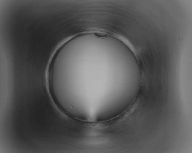 X0000101121003200807101539