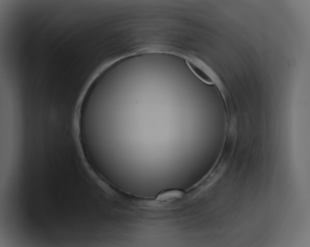 X0000101121005200807101539