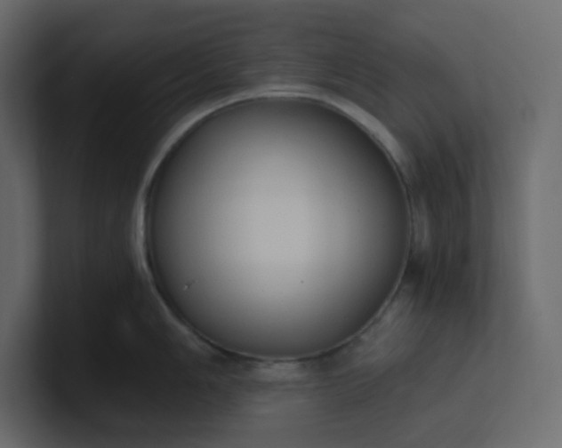 X0000101121006200807101539