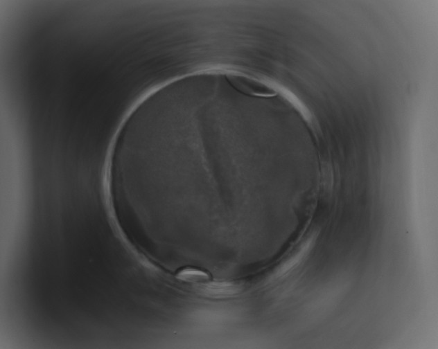 X0000101121007200807101539