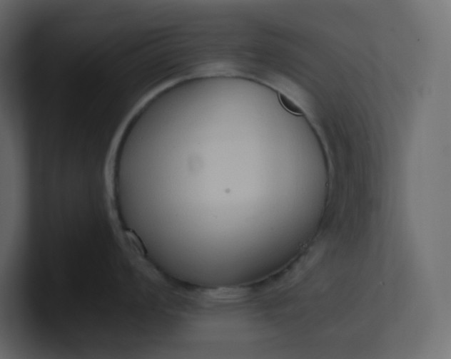 X0000101121008200807101539