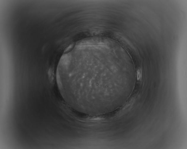 X0000101121011200807101538