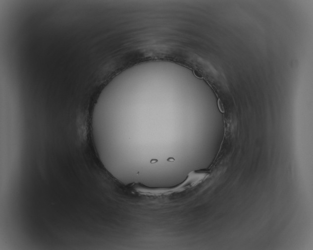 X0000101121012200807101538