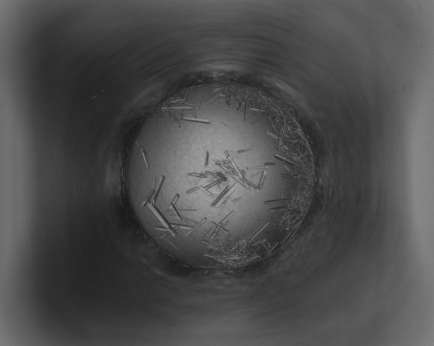 X0000101121014200807101538