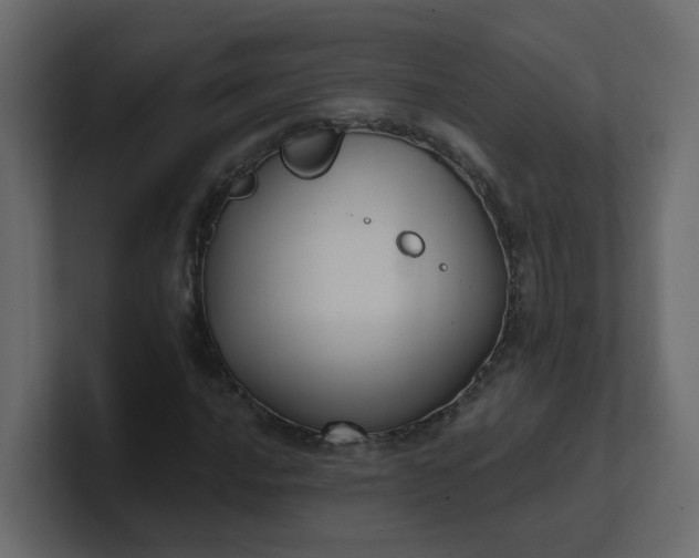 X0000101121016200807101538