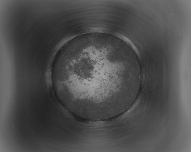 X0000101121019200807101538