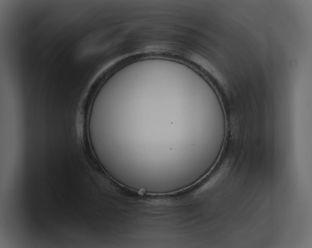 X0000101121021200807101538