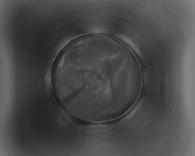 X0000101121023200807101538