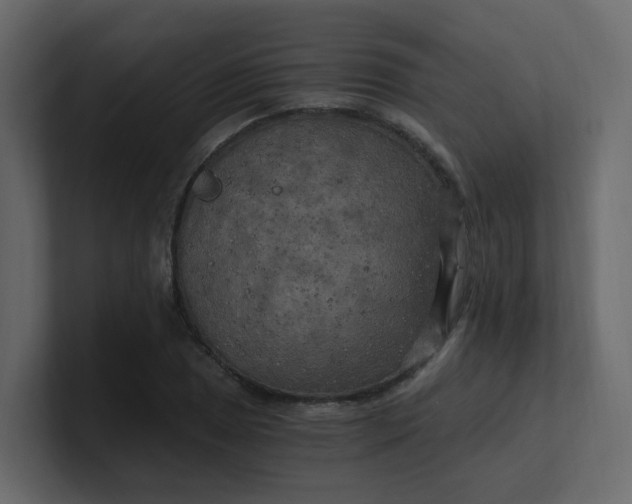 X0000101121025200807101538