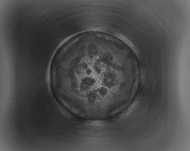 X0000101121028200807101538