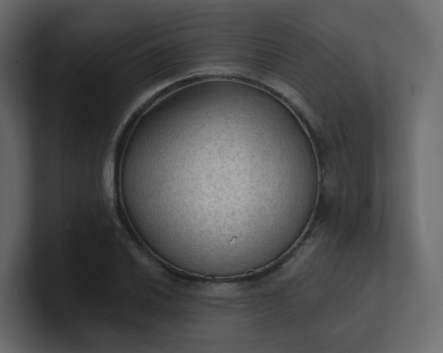 X0000101121030200807101538