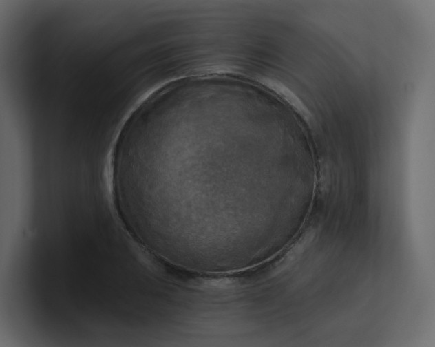 X0000101121031200807101538